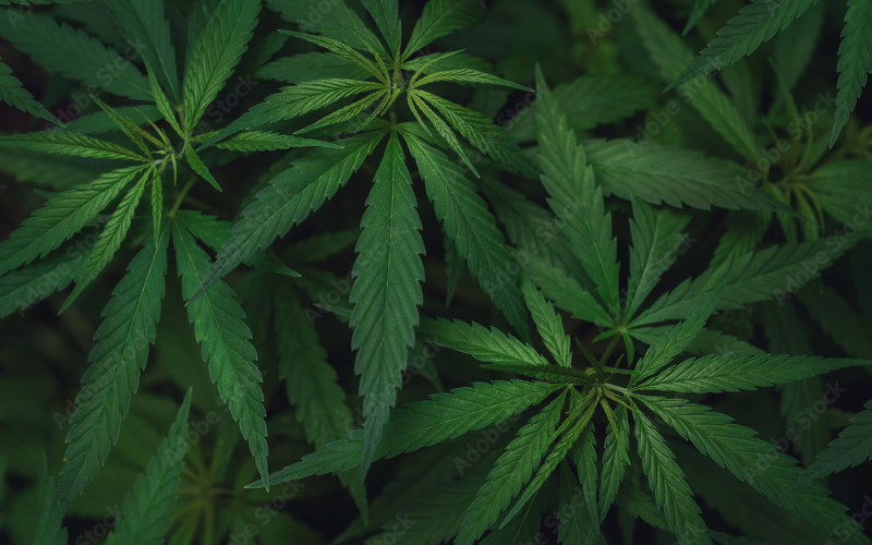 091dd835-5d39-406d-a281-93ac5eabc2f2